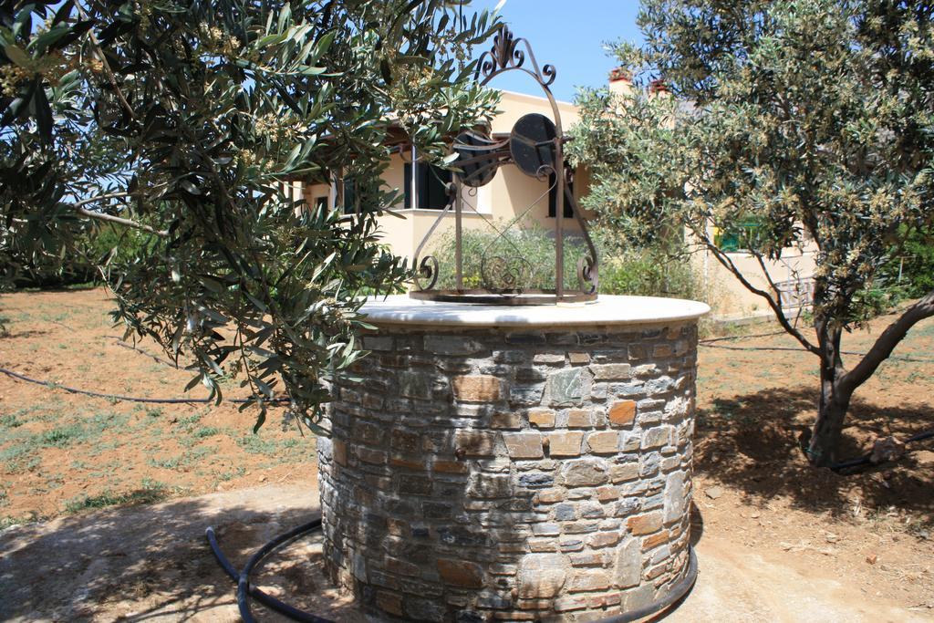 Naxos Cottage Káto Sangríon 部屋 写真