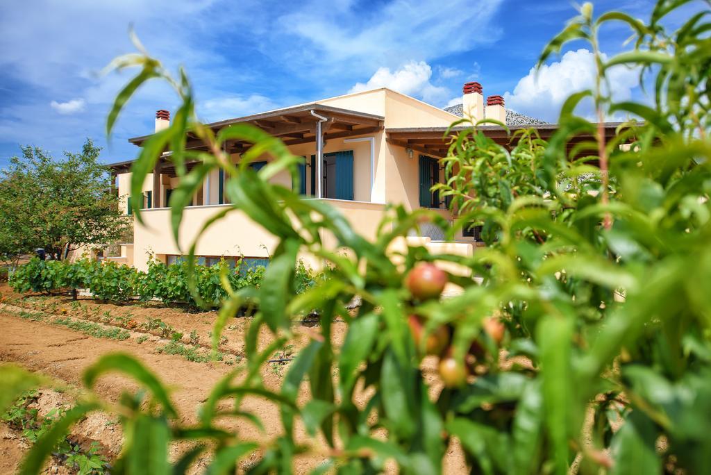 Naxos Cottage Káto Sangríon エクステリア 写真